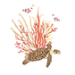 Tortue Marine - Sticker mural Dywall