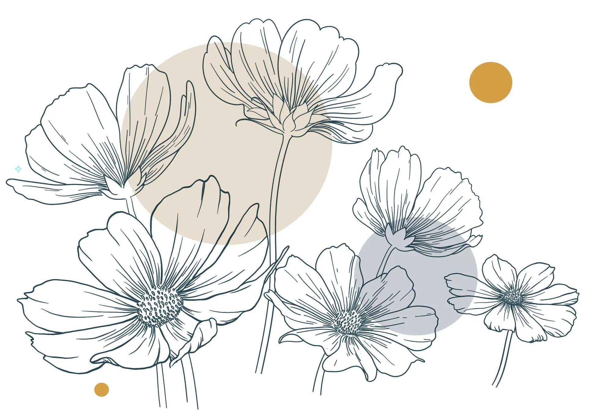 Fleurs de Cosmos - Sticker mural Dywall