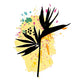 Oiseau du paradis - Sticker mural Dywall